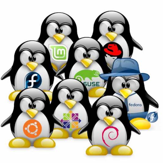Tux, la mascotte officielle de Linux